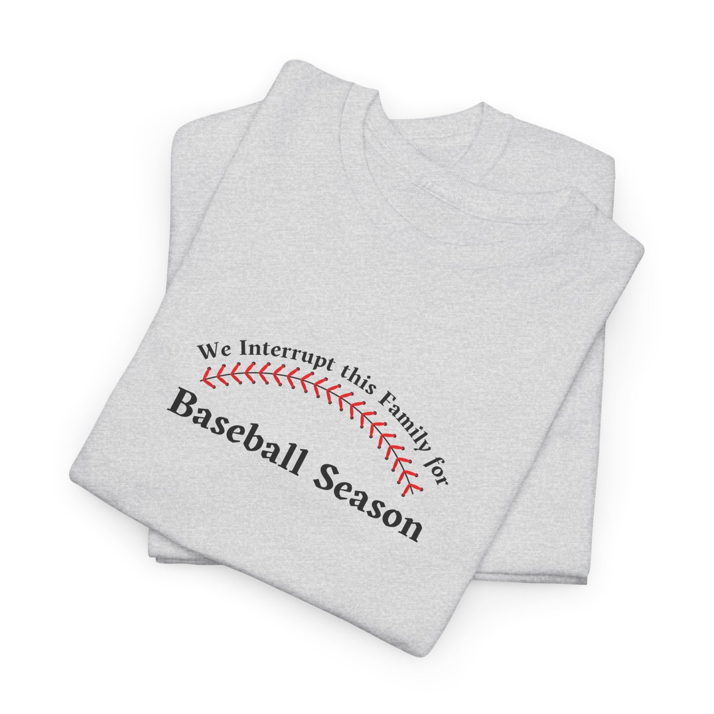 We Interrupt this Family for Baseball Season